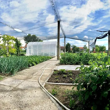 Appartement Andrej - Optuj *