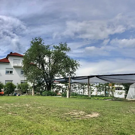 Andrej - Optuj Apartman Ptuj