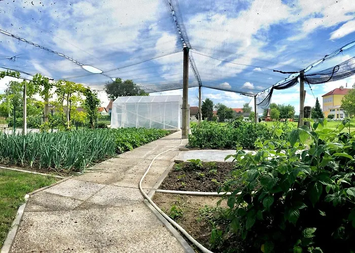 Appartement Andrej - Optuj *