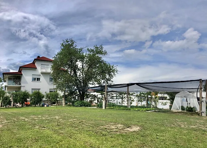 Andrej - Optuj Apartamento Ptuj