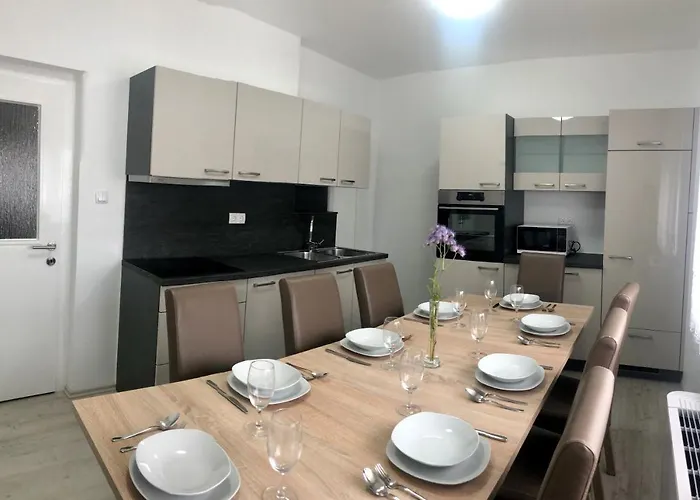 Andrej - Optuj * Ptuj